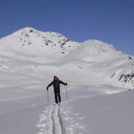 Ambiente * زيل أم زيلر